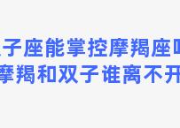 双子座能掌控摩羯座吗吗 摩羯和双子谁离不开谁